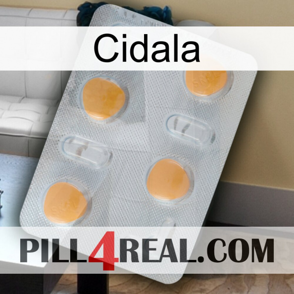 Cidala 24